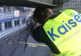 Montage von Taubenabwehrsystemen