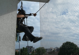 Montage von Taubenabwehrsystemen